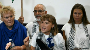 Flottille pour Gaza: des militants expuls&eacute;s d'Isra&euml;l d&eacute;noncent de mauvais traitements