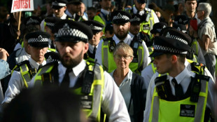 London: &Uuml;ber 425 Festnahmen bei Protest f&uuml;r verbotene pro-pal&auml;stinensische Gruppe