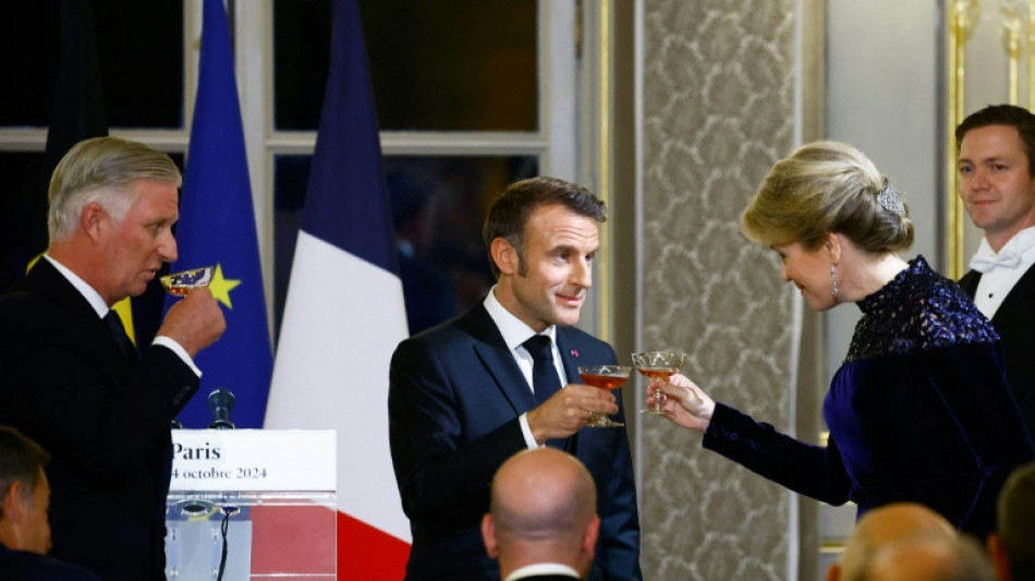 "Alli&eacute;s" et "amis" : le couple royal de Belgique en visite d'Etat en France