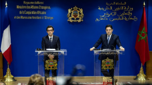 Francia reitera su apoyo al plan de Marruecos sobre el S&aacute;hara Occidental