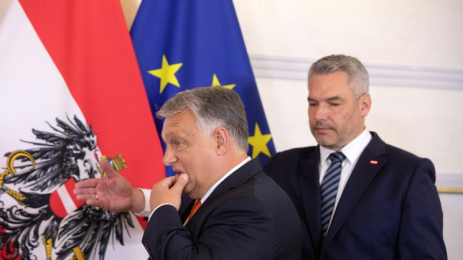 Orban verteidigt umstrittene &Auml;u&szlig;erung &uuml;ber "Rassenmischung"