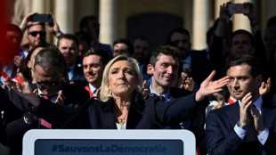 Atacar al "sistema" sin parecer Trump, la dif&iacute;cil estrategia de Le Pen en Francia