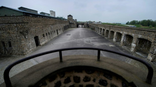 Proyecto inmobiliario en un terreno de un excampo de concentraci&oacute;n nazi en Austria