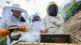 Apicultoras peruanas desaf&iacute;an el cambio clim&aacute;tico con fondos que dividen a la COP29