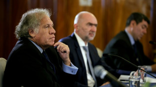 Guatemala promete &agrave; OEA respeitar resultado eleitoral e transfer&ecirc;ncia de poder