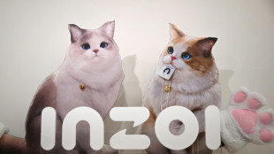 South Korea's life game 'InZOI' challenges 'The Sims'