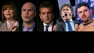 Argentina elege seus candidatos &agrave; presid&ecirc;ncia em meio &agrave; crise econ&ocirc;mica