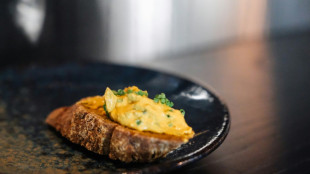 Los "agricultores del futuro" crean en Finlandia una prote&iacute;na comestible a partir de aire y electricidad