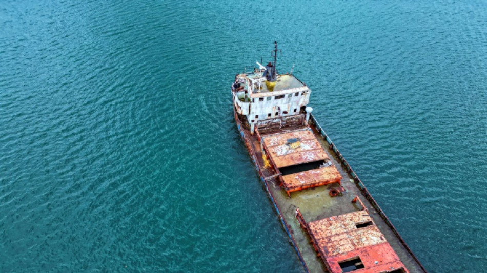 Uma chance para a vida marinha no cemit&eacute;rio de navios do Panam&aacute;