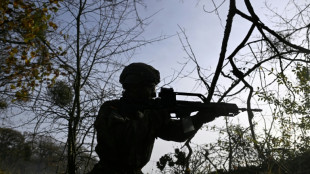 German MPs approve 50 bn euros in military purchases