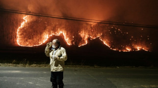 Al menos 19 muertos por graves incendios forestales en Corea del Sur