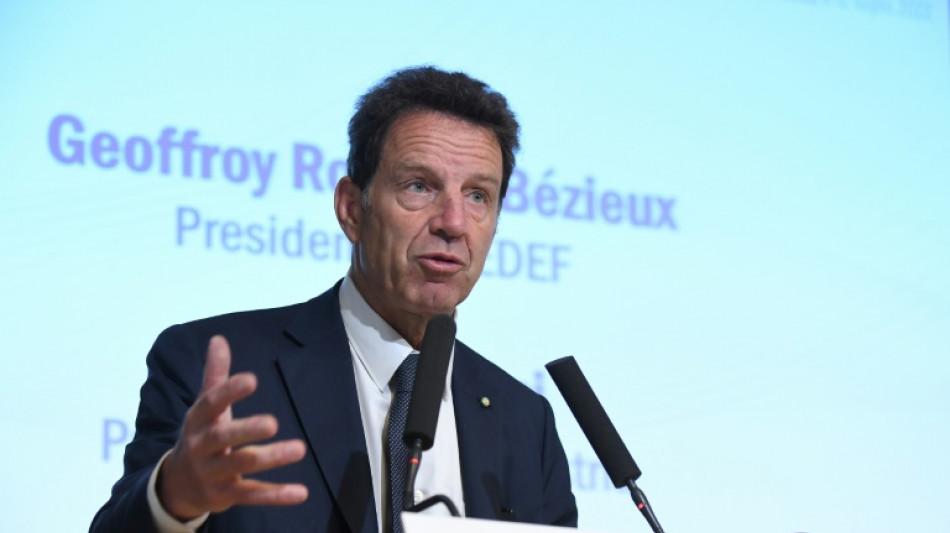 Superprofits: le plus grand b&eacute;n&eacute;ficiaire, c'est l'Etat, juge le pr&eacute;sident du Medef