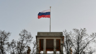 Alemania expulsa a 40 diplom&aacute;ticos rusos