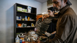 Au Pakistan, des soigneurs aident les oiseaux &agrave; survivre aux &eacute;t&eacute;s de plus en plus chauds