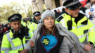 Greta Thunberg, ante la justicia brit&aacute;nica por una manifestaci&oacute;n por el clima