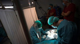 Moelle osseuse: des vies suspendues &agrave; un don encore trop m&eacute;connu