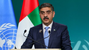 Paquist&atilde;o pro&iacute;be festas de Ano Novo em solidariedade com Gaza