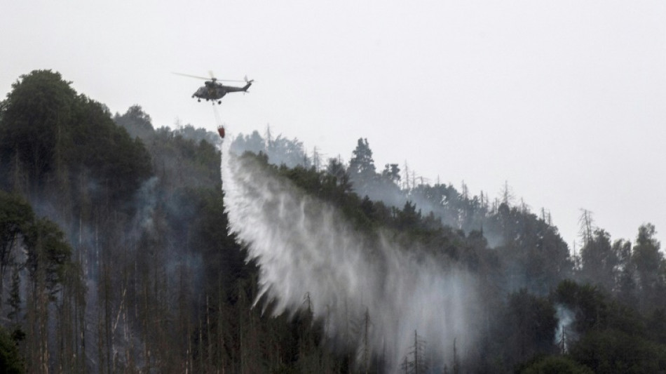 Weiter hunderte Feuerwehrleute bei Waldbrand in S&auml;chsischer Schweiz im Einsatz