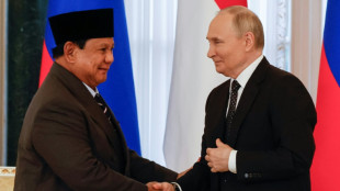 Indonesia leader touts growing Russia ties after talks with Putin