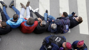 La Hongrie amende la Constitution, ciblant les LGBT+ et les binationaux