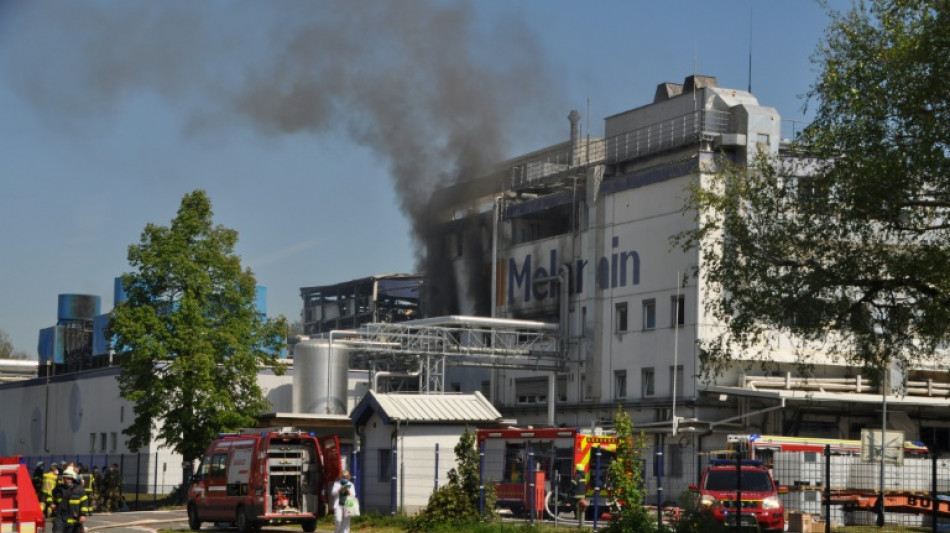 Slov&eacute;nie: une explosion dans une usine chimique fait six morts