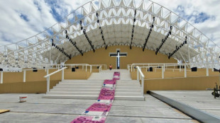 Artista portugu&eacute;s critica financiamiento p&uacute;blico de la visita del papa