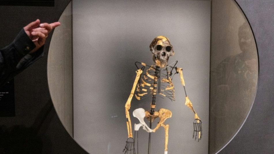 Pé fossilizado encontrado na Etiópia lança luz sobre contemporâneo de Lucy