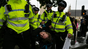 Reino Unido prende dezenas de apoiadores do grupo proibido Palestine Action