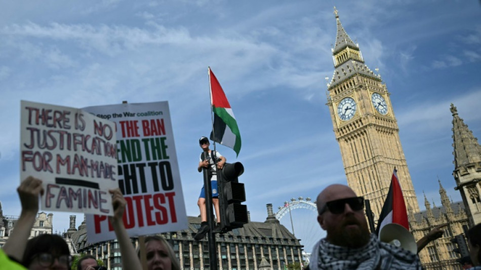 UK police say almost 900 arrests made at Palestine Action demo
