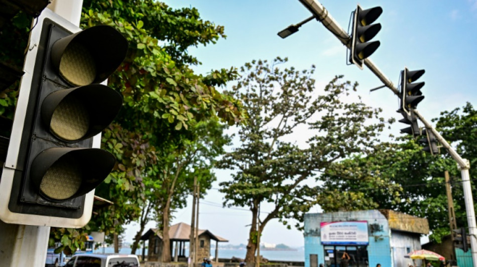 Un mono provoca un apag&oacute;n general en Sri Lanka