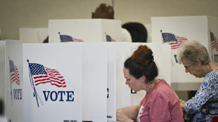 Desinformaci&oacute;n electoral en EEUU choca con una comunidad latina esc&eacute;ptica