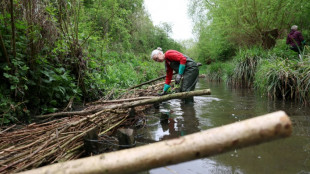 UK towns harness nature to combat rising flood risk