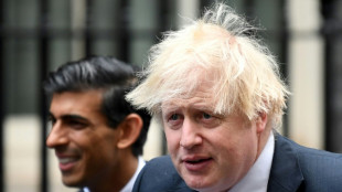 Boris Johnson &agrave; l'amende pour une f&ecirc;te d'anniversaire en plein confinement