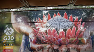 Five things to know about the first G20 held in Africa