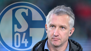 Schalke: Baumann will "weniger quatschen, mehr tun"