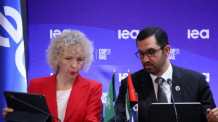 La lucha contra el cambio clim&aacute;tico requiere "billones" de d&oacute;lares, recuerdan negociadores