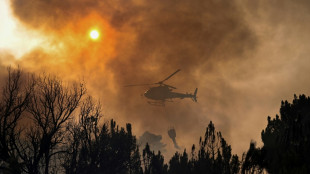 Le changement climatique a multipli&eacute; par 40 la probabilit&eacute; de vagues de chaleur comme celle en Espagne et au Portugal