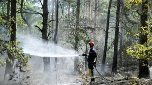 Incendie de Fontainebleau : "Pas de risque de r&eacute;activation de feu" aux abords de l'A6, selon les sapeurs-pompiers
