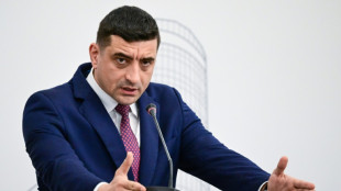 Roumanie: Simion, confiant avant le second tour, accuse Macron d'ing&eacute;rence