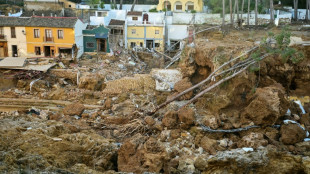 Un militar retirado se encargar&aacute; de la reconstrucci&oacute;n tras las inundaciones en Valencia 