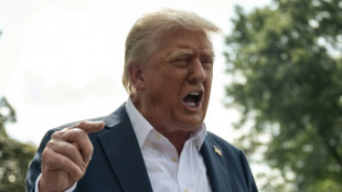 Trump calls for MAGA base to end 'Epstein Files' obsession
