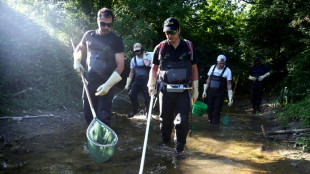 S&eacute;cheresse: en Charente, des p&ecirc;cheurs sauvent des poissons d'un "d&eacute;sert"