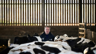 Agricultores brit&acirc;nicos criticam governo trabalhista por novo imposto sobre heran&ccedil;a