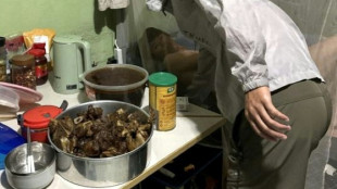 Sospechas de esclavitud moderna en la construcci&oacute;n de una f&aacute;brica de BYD en Brasil