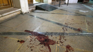 Iran arrests 8 'foreigners' after fatal shooting at Shiite shrine