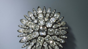 Erheblicher Teil gestohlener Kunstwerke aus Gr&uuml;nem Gew&ouml;lbe sichergestellt