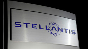 Stellantis: baisse de 12% des volumes de v&eacute;hicules livr&eacute;s en 2024