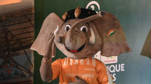 Costa do Marfim apresenta mascote da Copa Africana de Na&ccedil;&otilde;es