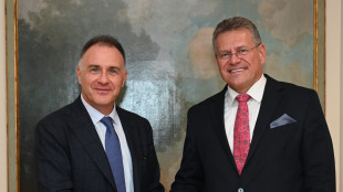 Confindustria, Orsini incontra il commissario Ue &Scaron;efčovič