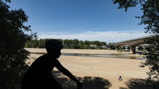 Les fortes chaleurs s'&eacute;tendent et pourraient co&ucirc;ter cher &agrave; la France
